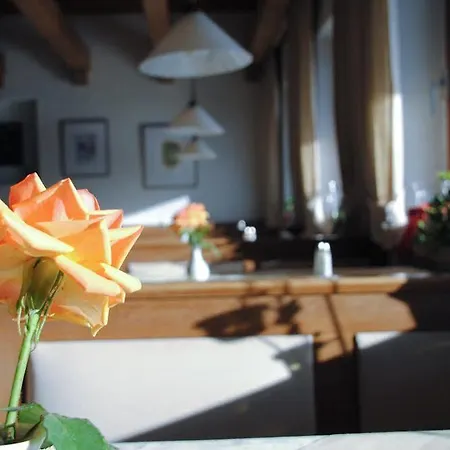 Restaurant Alpenhof 3*