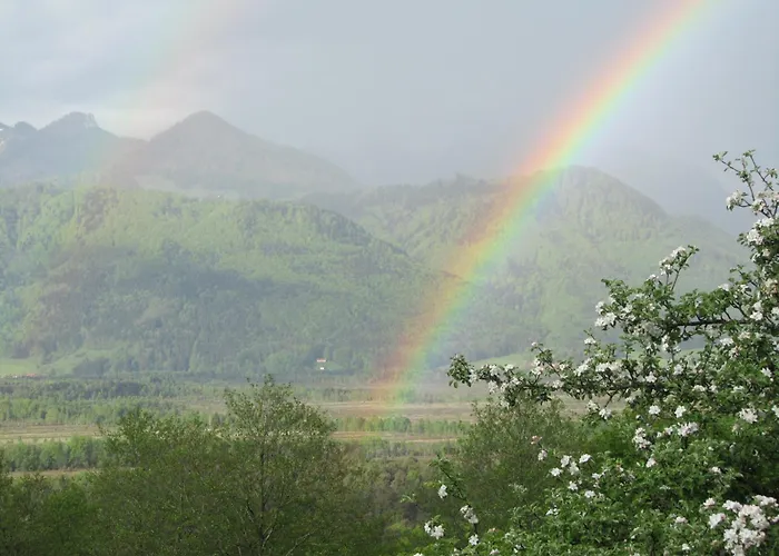 Apartahotel Restaurant Alpenhof